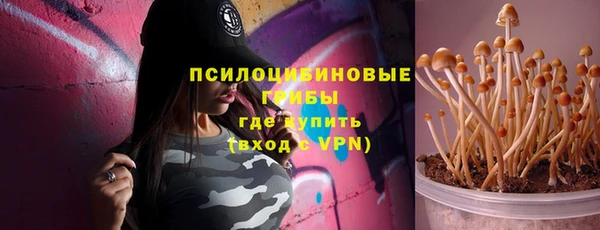 индика Арсеньев