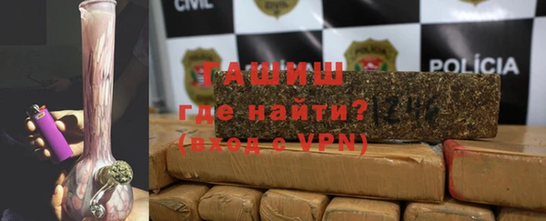 индика Арсеньев