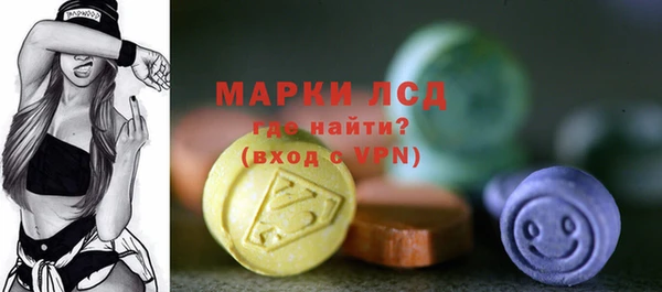 индика Арсеньев