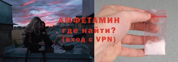 индика Арсеньев