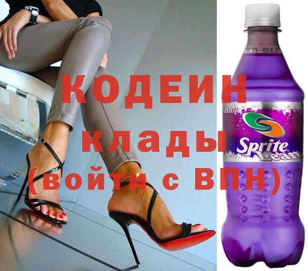 индика Арсеньев