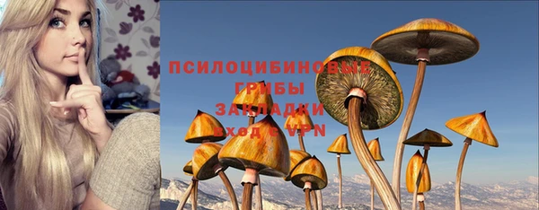 индика Арсеньев