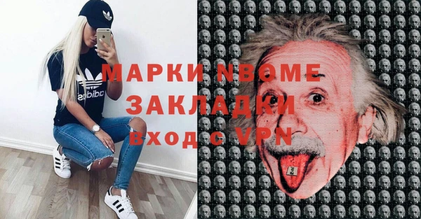 индика Арсеньев