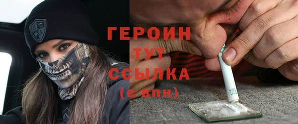индика Арсеньев